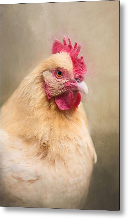 Chicken Metal Print featuring the photograph Red Comb by Robin-Lee Vieira