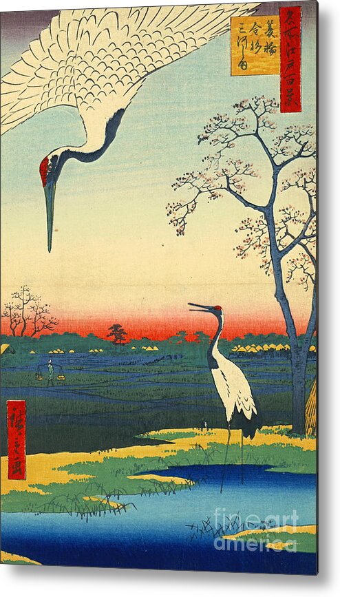 Red Crowned Cranes 1857 Metal Print featuring the photograph Red Crowned Cranes 1857 by Padre Art