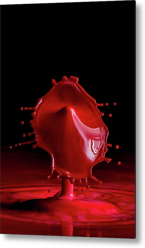 Water Drop Metal Print featuring the photograph Red Drop by Marlo Horne