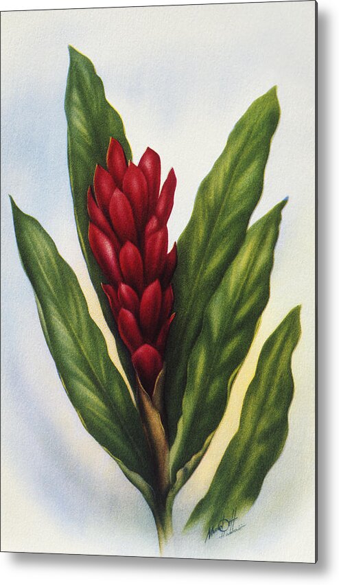 1940 Metal Print featuring the painting Red Ginger by Hawaiian Legacy Archive - Printscapes
