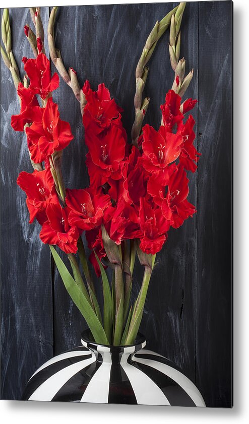 Red Gladiolus Metal Print featuring the photograph Red gladiolus in striped vase by Garry Gay