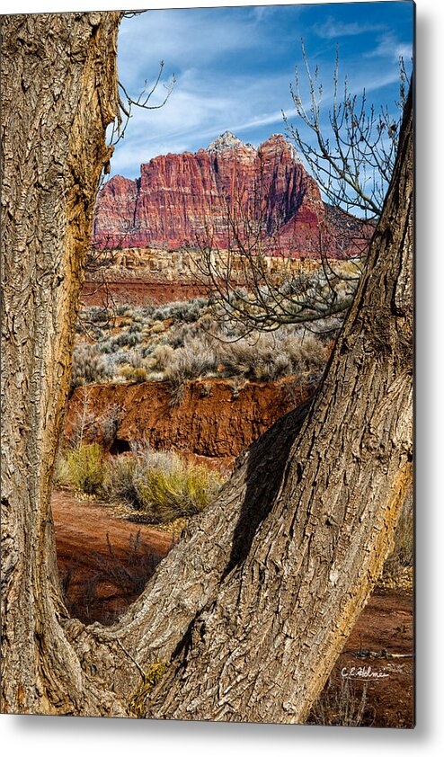 Mountain Metal Print featuring the photograph Red In The Distance by Christopher Holmes