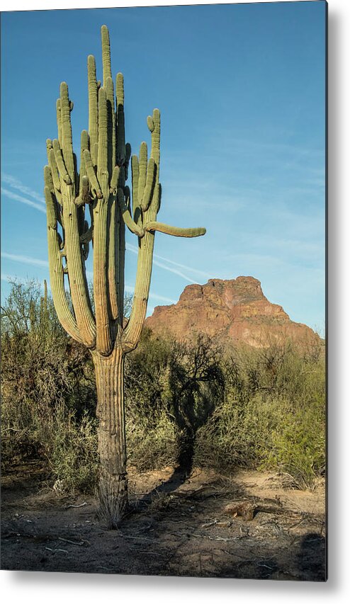 Red Metal Print featuring the photograph Red Mountain and Saguaro Shadow 2439-032118-cr by Tam Ryan