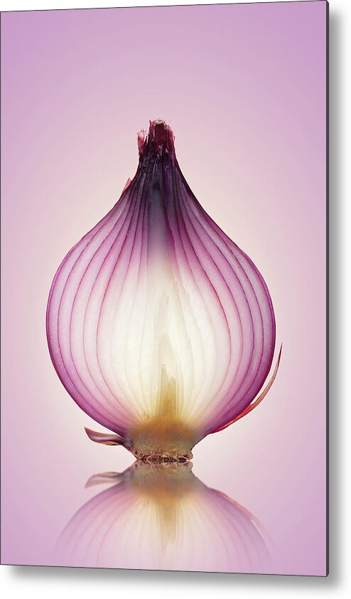 Red Metal Print featuring the photograph Red Onion Translucent layers by Johan Swanepoel