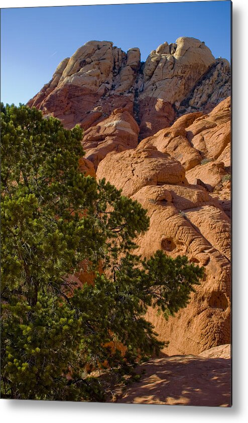 Red Rock Textures Metal Print featuring the photograph Red Rock Textures by Chris Brannen
