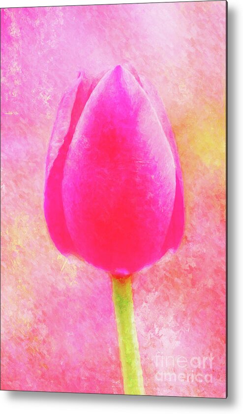 Metal Print featuring the photograph Red Tulip Dressed for Spring by Anita Pollak
