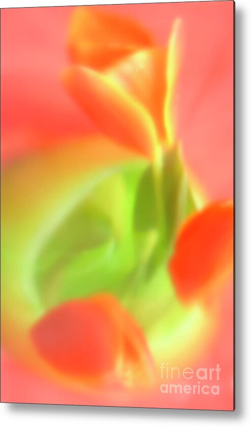  Red Tulips Metal Print featuring the photograph RED TULIPS in VASE in ABSTRACT STYLE #1. by Alexander Vinogradov