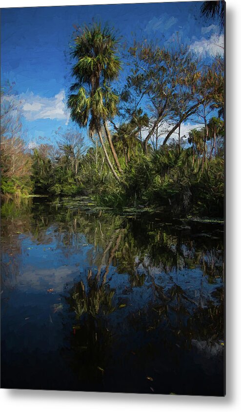 Clouds Metal Print featuring the photograph Reflections in the Tropics Oil Painting by Debra and Dave Vanderlaan