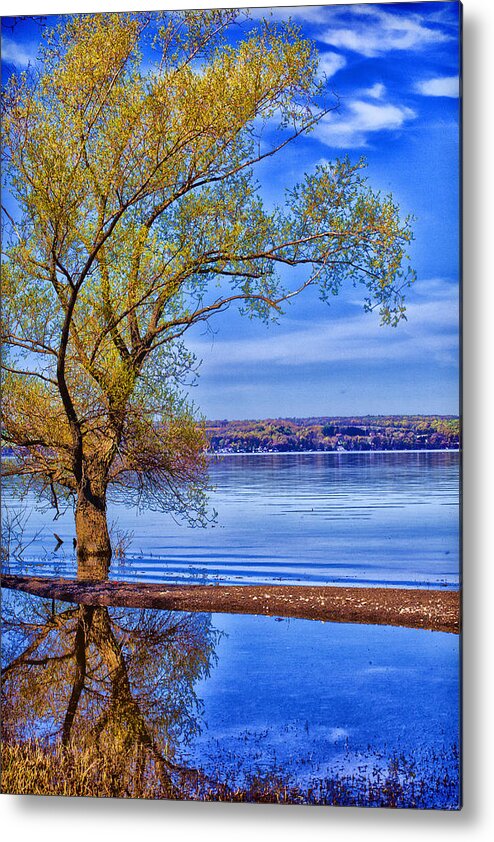 Lake Metal Print featuring the photograph Reflections of Spring by Monroe Payne