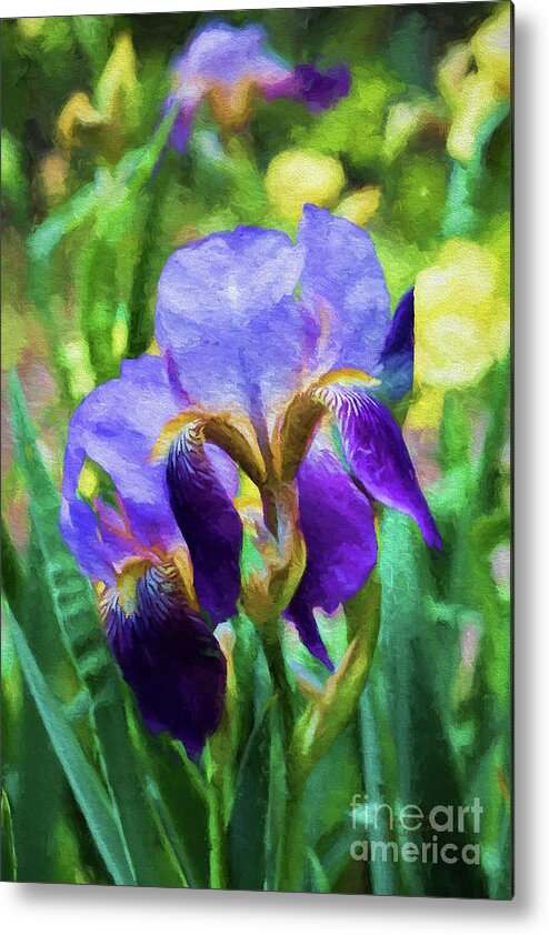 Iris Metal Print featuring the photograph Regal by Patricia Montgomery