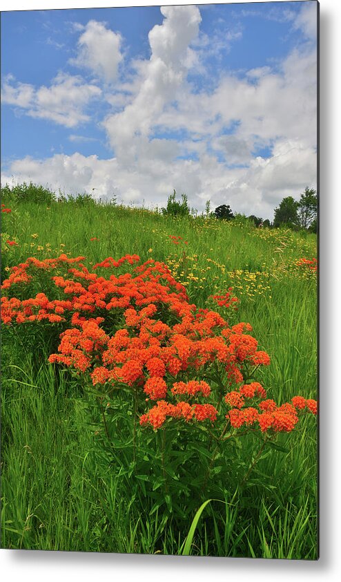 Glacial Park Metal Print featuring the photograph Rising Clouds over Glacial Park Prairie by Ray Mathis