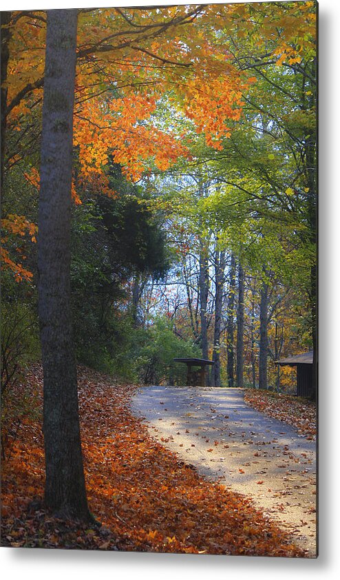 Cabin Metal Print featuring the photograph Road to Cabin 2 by Teresa Mucha