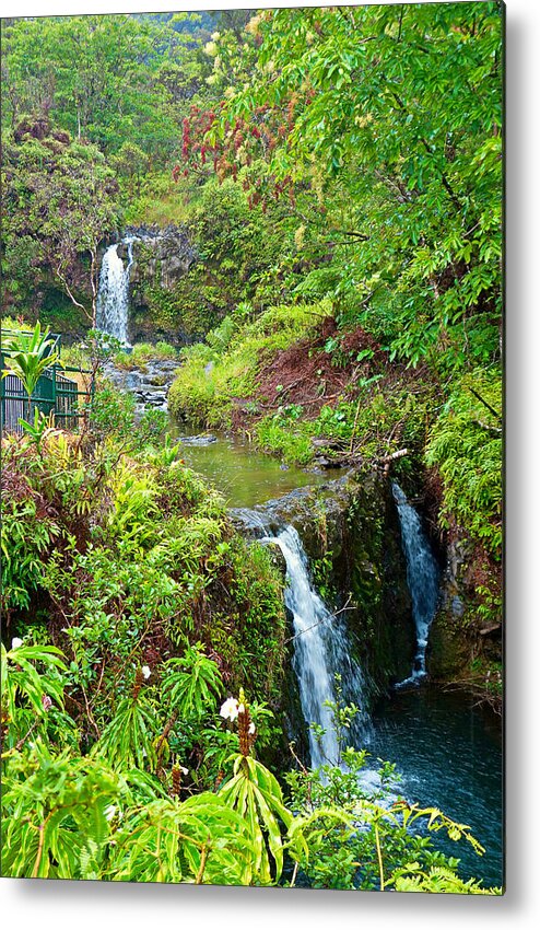 Road To Hana Metal Print featuring the photograph Road to Hana Study 14 by Robert Meyers-Lussier