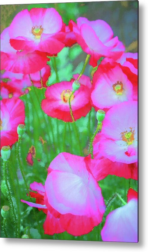 Clematis Vine Metal Print featuring the photograph Roadside Flowers by Tom Singleton