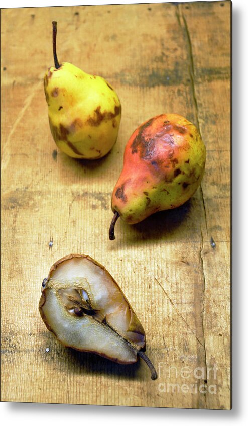 Pear Metal Print featuring the photograph Rotting Pears by Jill Battaglia
