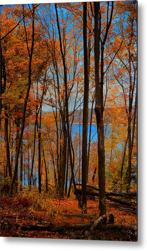 Round Valley State Park Metal Print featuring the photograph Round Valley State Park 5 by Raymond Salani III