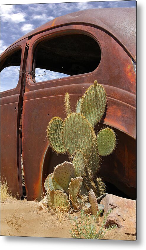 Southwest Metal Print featuring the photograph Route 66 Cactus by Mike McGlothlen