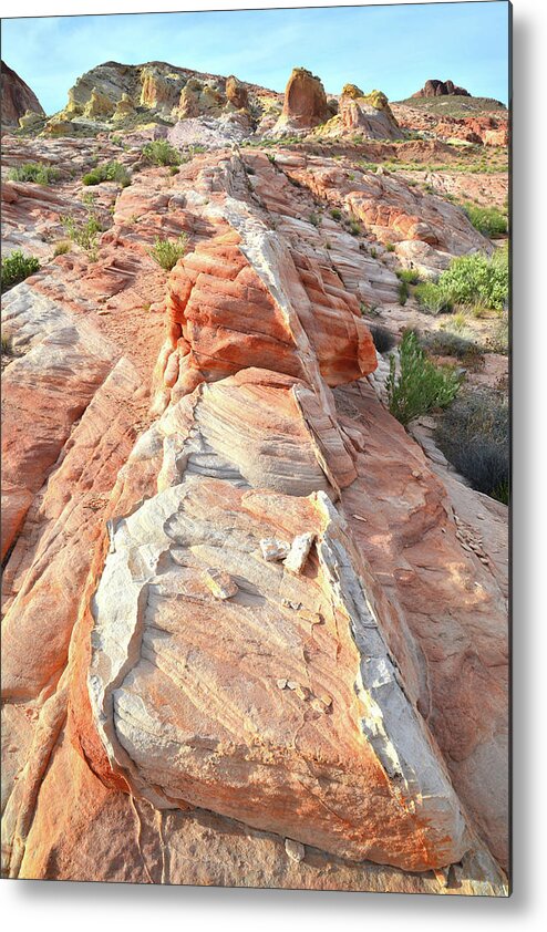 Valley Of Fire State Park Metal Print featuring the photograph Row of Sandstone in Valley of Fire by Ray Mathis