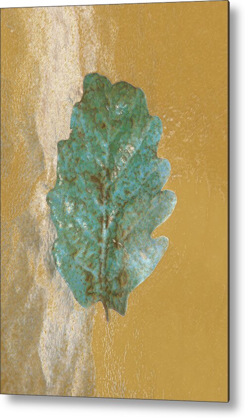 Leaves Metal Print featuring the photograph Rustic Leaf by Linda Sannuti