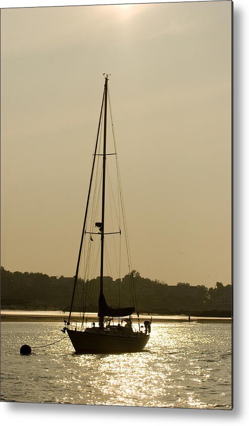 Swimming Metal Print featuring the photograph Sailboat at Rest by Jack Foley