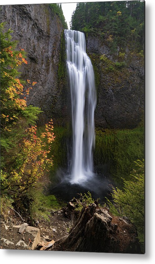 Pacific Northwest Metal Print featuring the photograph Salt Creek Falls by Brian Bonham
