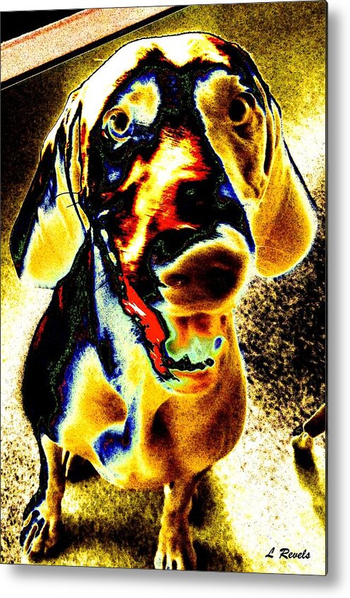 Dog Metal Print featuring the photograph Sampson Smiles by Leslie Revels