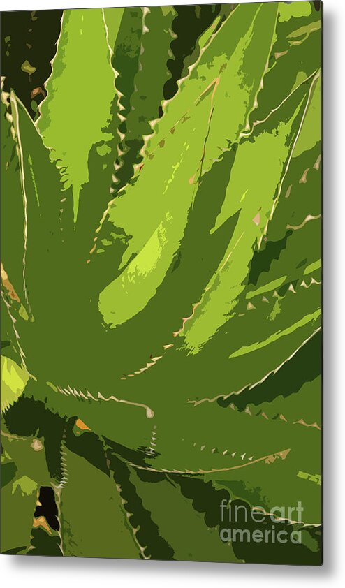 Aloe Vera Abstract Metal Print featuring the digital art Sawtooth Leafed Aloe Vera by Christiane Schulze Art And Photography