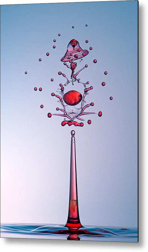 Red Metal Print featuring the photograph Scepter by Henry Jager