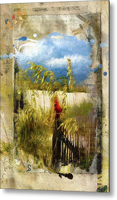 Long Beach Metal Print featuring the photograph Sea Oats with Cardinal by Don Schiffner