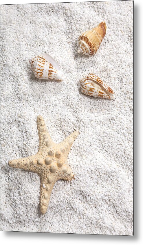 Shell Metal Print featuring the photograph Sea Shells by Joana Kruse