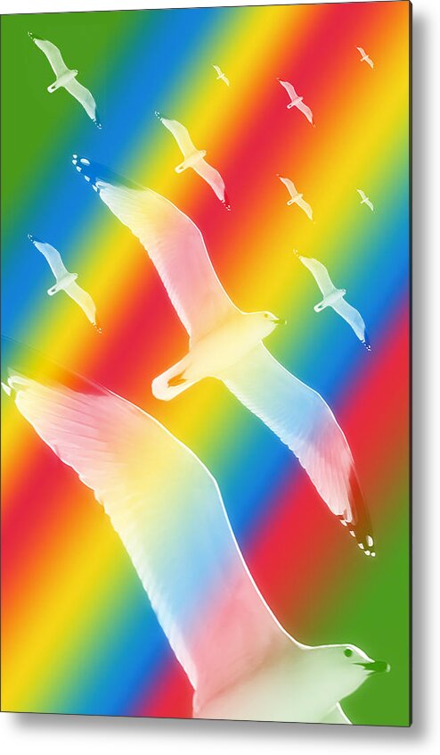 Pattern Metal Print featuring the photograph Seagulls Dance In Color 3 by Pedro Cardona Llambias