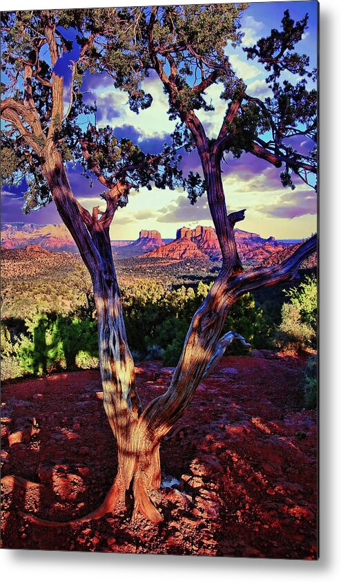 Sedona Metal Print featuring the photograph Sedona # 48 - Courthouse and Cathedral Rocks by Allen Beatty