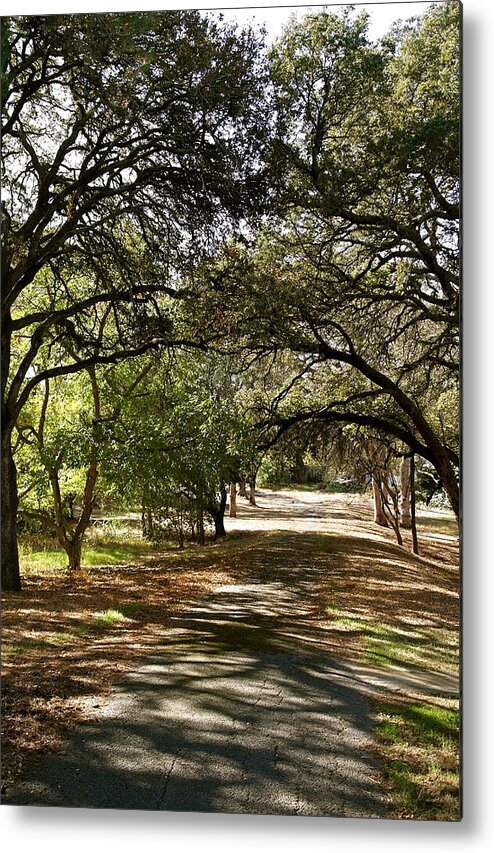 Walk Metal Print featuring the photograph Shady Autumn Walk by Michele Myers
