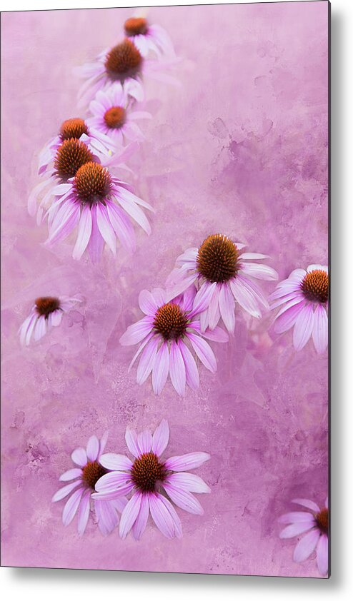 Coneflower Metal Print featuring the photograph Sharon's Coneflowers by Lorraine Baum