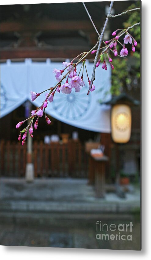 Shinto Metal Print featuring the photograph Shinto Blessing by Marcel Stevahn