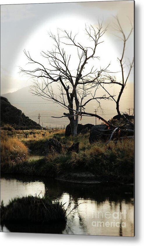 Desert Metal Print featuring the photograph Silent Lucidity by Lori Mellen-Pagliaro