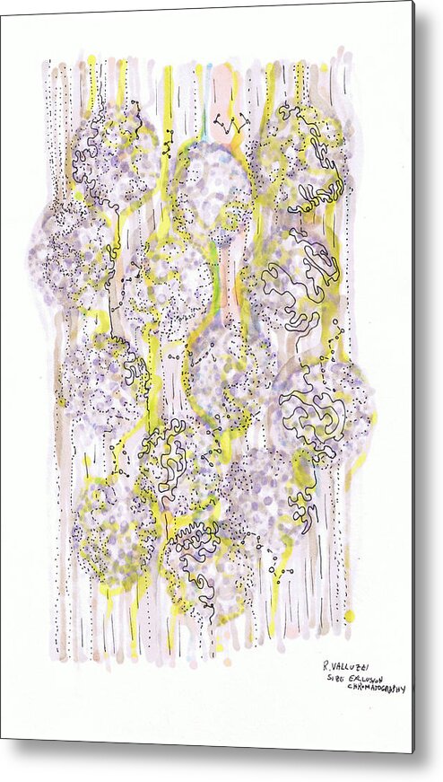 Chromatography Metal Print featuring the drawing Size Exclusion Chromatography by Regina Valluzzi