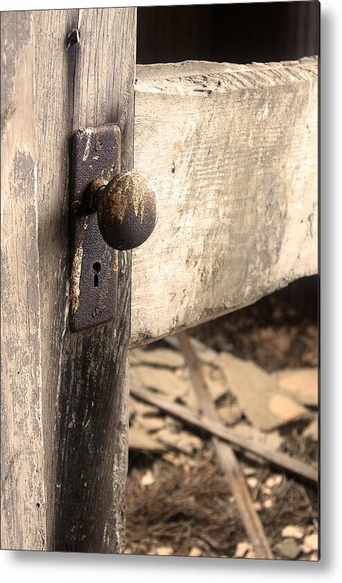  Metal Print featuring the photograph Skeleton Key by Melissa Newcomb