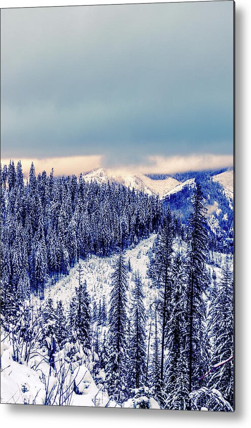 Idaho Metal Print featuring the photograph Snow Covered Mountains by Lester Plank
