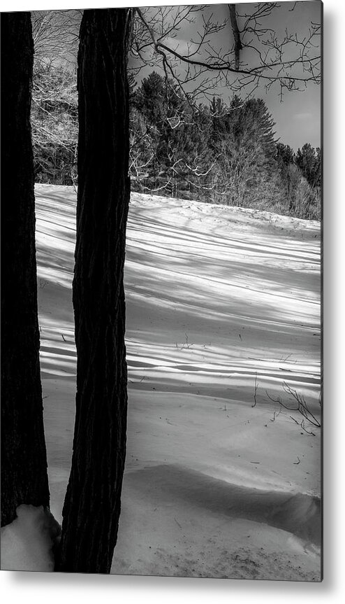 Vermont Winter Metal Print featuring the photograph Snow Shadows by Tom Singleton