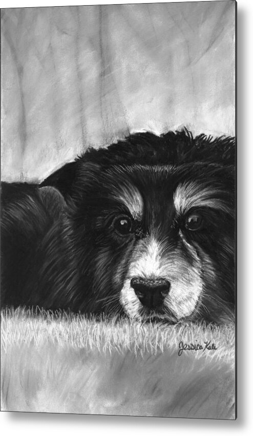 Charcoal Metal Print featuring the mixed media Solitary Dog by Jessica Kale