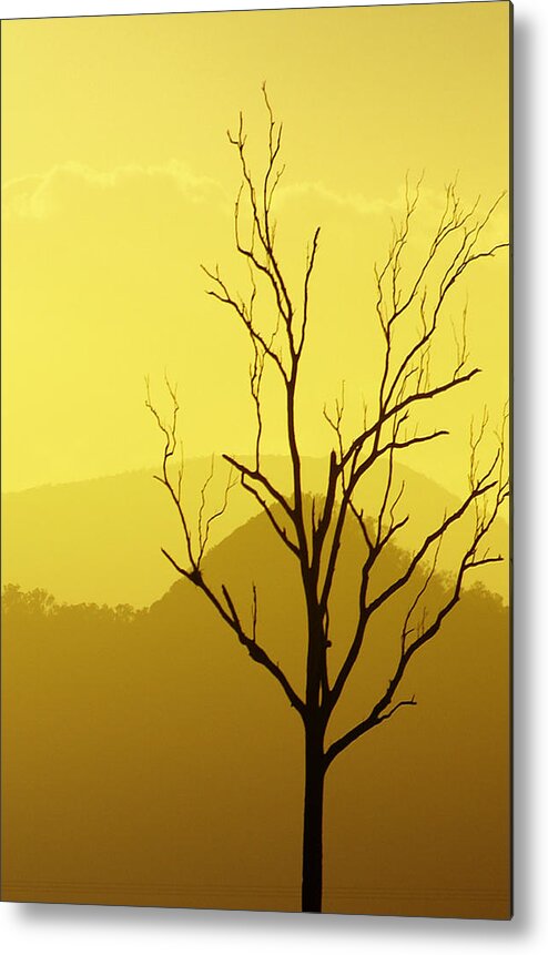 Landscape Metal Print featuring the photograph Solitude by Holly Kempe