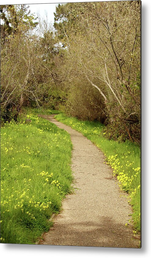 Oceano Metal Print featuring the photograph Sour Grass Trail by Art Block Collections