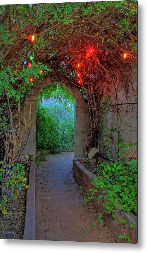 Nature Metal Print featuring the photograph Southeast Arizona Garden by Charlene Mitchell