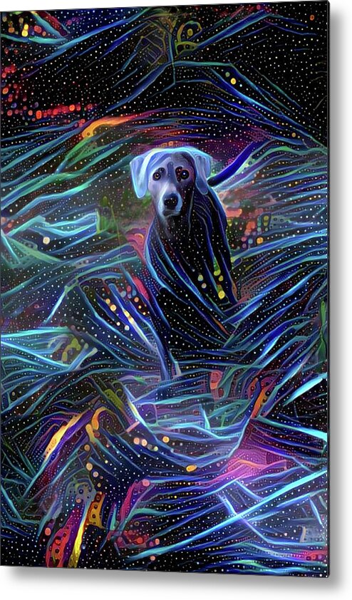 Lacy Dog Metal Print featuring the digital art Spacey Lacy by Peggy Collins