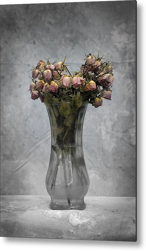 Roses Metal Print featuring the photograph Spent by DArcy Evans