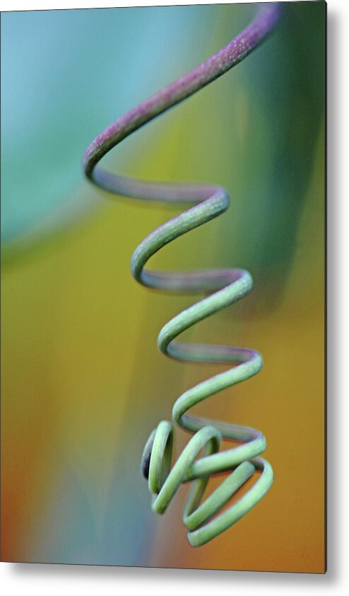 Abstract Metal Print featuring the photograph Spiraling by Debbie Oppermann