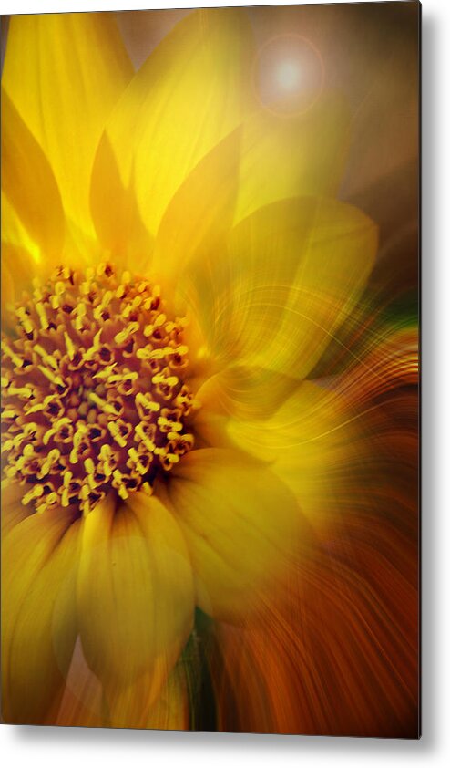 Artistic Prints Metal Print featuring the photograph Spiraling Out of Control Print by Gwen Gibson
