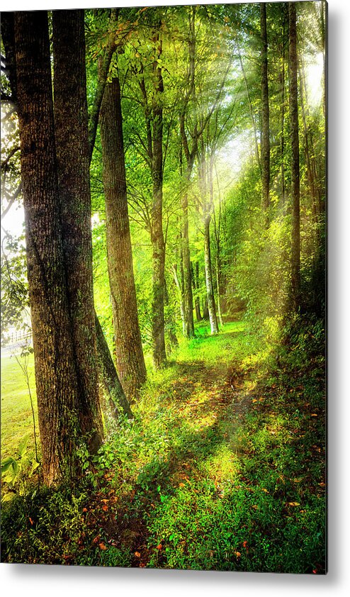 Appalachia Metal Print featuring the photograph Spiritual Walk with Nature by Debra and Dave Vanderlaan