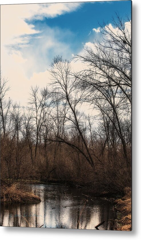 Heron Heaven Metal Print featuring the photograph Spring Day by Ed Peterson